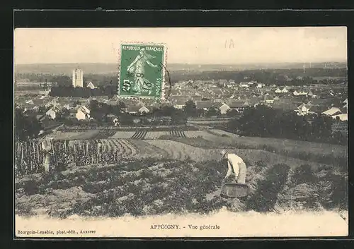 AK Appoigny, Vue générale