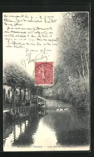 AK Aillant-sur-Tholon, Les Bords du Tholon