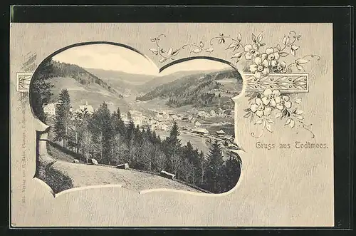 AK Todtmoos, Panoramablick auf das Dorf und ins Tal