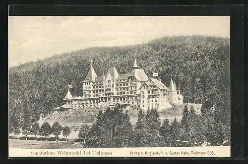 AK Todtmoos, Hotel Sanatorium Wehrawald im Sonnenschein