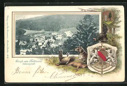Passepartout-Lithographie Todtmoos, Ortsansicht aus der Vogelschau, Wappen der Ortschaft