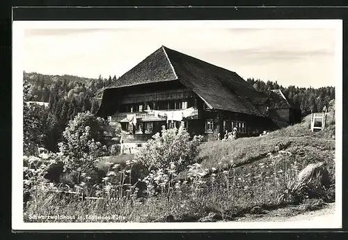 AK Todtmoos-Rütte, Schwarzwaldhaus im Sonnenlicht