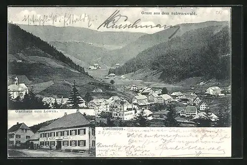 AK Todtmoos, Gasthaus zum Löwen, Ortsansicht mit Blick ins Tal