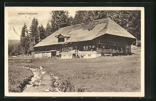 AK Hinter-Todtmoos / bad. Schwarzw., Hütte und kleiner Bachlauf in Hinter-Todtmoos