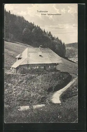 AK Todtmoos, Felsen Schwarzwaldhaus