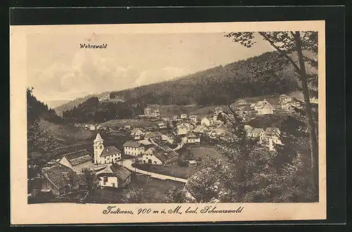 AK Todtmoos, Ortspanorama mit Sanatorium Wehrawald