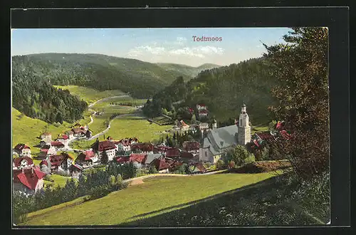 AK Todtmoos, Blick von der Bergwiese auf den Ort