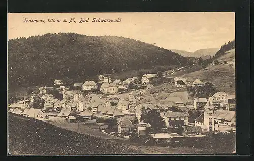 AK Todtmoos, Blick von der Bergwiese auf den Ort