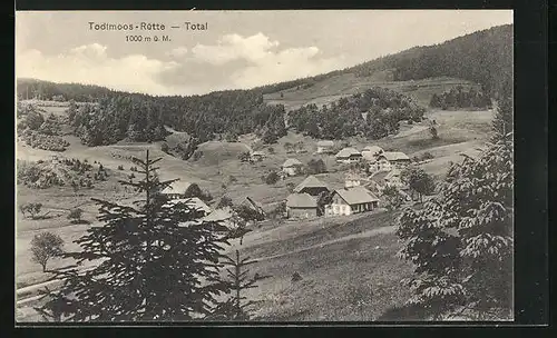 AK Todtmoos-Rütte, Totale vom Berg gesehen