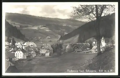 AK Todtmoos, Ortspartie im Gebirge