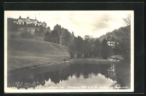 AK Todtmoos, Blick vom Wasser auf das Hotel Wehrawald