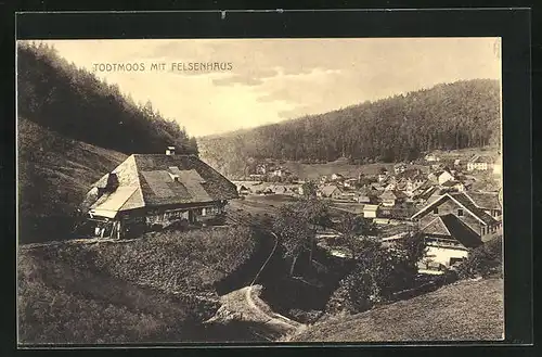 AK Todtmoos, Ortsansicht mit Felsenhaus