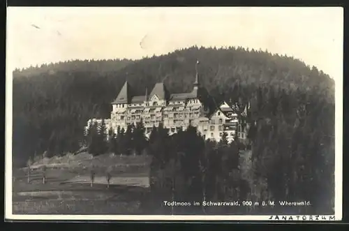 AK Todtmoos, Blick zum Sanatorium Wehrawald