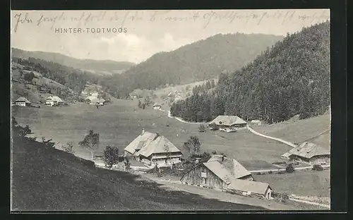 AK Hinter-Todtmoos, Blick von der Bergwiese auf den Ort