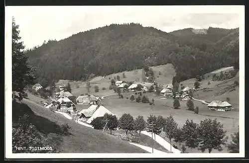 AK Hinter-Todtmoos, Blick von der Bergwiese auf den Ort