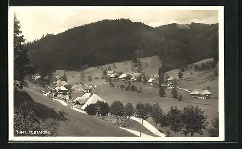 AK Hinter-Todtmoos, Totale mit Gebirge