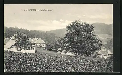 AK Todtmoos-Prestenberg, Ortspanorama