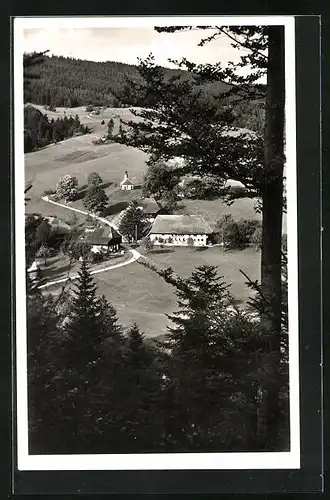 AK Todtmoos-Strick, Landgasthaus zum Rössle aus der Vogelschau