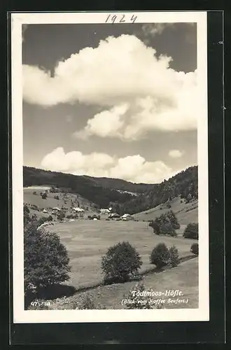 AK Todtmoos-Höfle, Ausblick vom Cafe Seufert