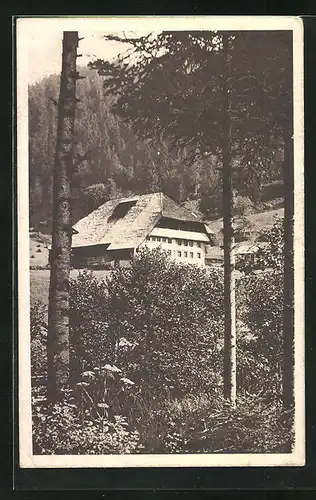 AK Todtmoos-Glashütte, Schwarzwaldhaus im Sonnenschein