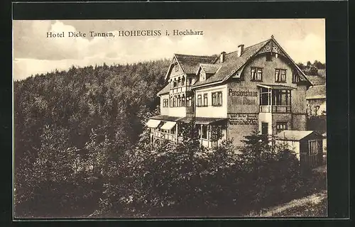 AK Hohegeiss i. Hochharz, Hotel Dicke Tannen