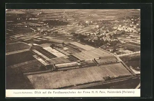 AK Halstenbek /Holstein, Forstbaumschulen der Firma H. H. Pein