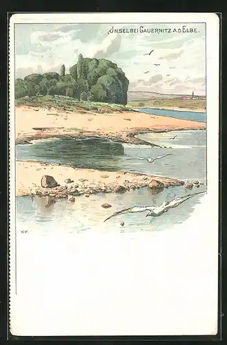 Lithographie Gauernitz a. d. Elbe, Insel