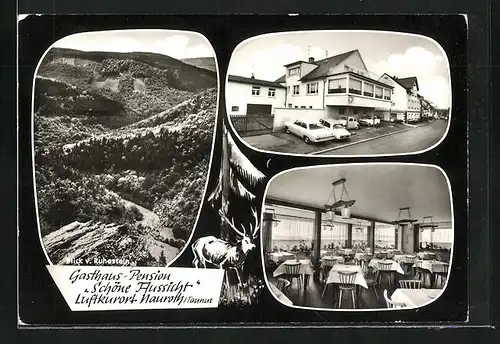 AK Nauroth i. Taunus, Gasthaus Pension zur schönen Aussicht, Blick v. Ruhestein