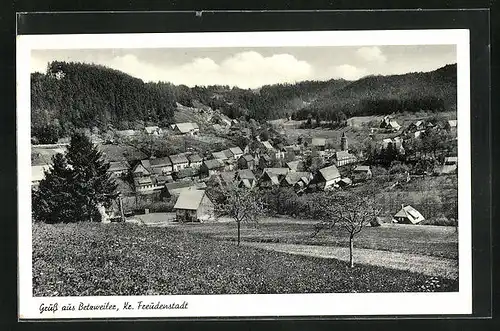 AK Betzweiler, Panorama