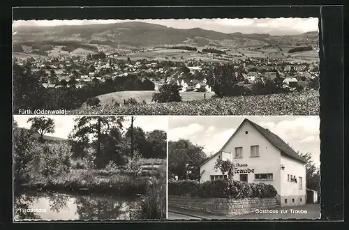 AK Fürth / Odw., Ortsansicht, Fischteiche, Gasthaus zur Traube