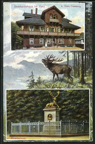 AK Thale-Treseburg, Dambachshaus im Harz
