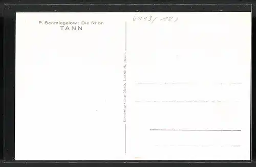 Künstler-AK Tann / Rhön, Ortspartie am Torbogen