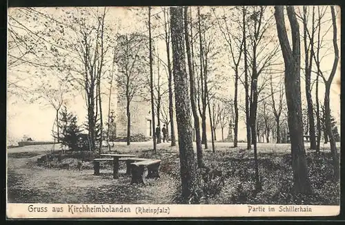 AK Kirchheimbolanden / Rheinpfalz, Partie aus dem Schillerhain, Aussichtsturm