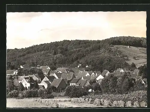 AK Michelbach a. Heuchelberg, Panorama vom Hügel gesehen
