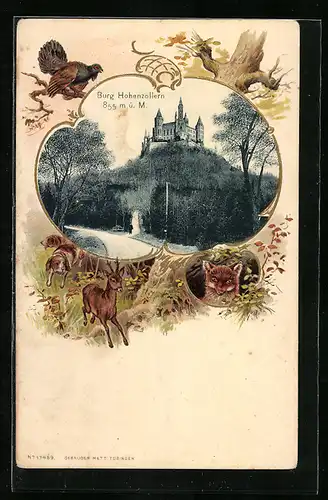 Passepartout-Lithographie Hohenzollern, Burg Hohenzollern, Auerhahn, Fuchs