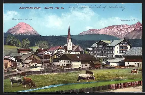 AK Seefeld an der Karwendel-Bahn, Teilansicht mit Kühen