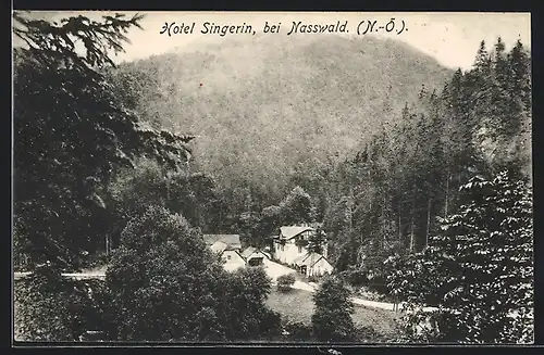 AK Nasswald, Hotel Singerin aus der Vogelschau