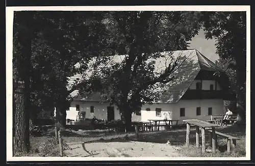 AK Gratwein, Rein, Gasthaus zum Pleschwirt