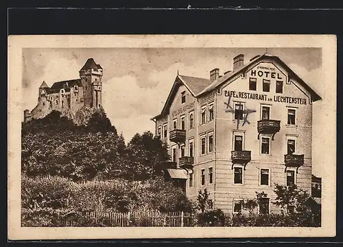 AK Maria Enzersdorf, Hotel-Café & Restaurant am Liechtenstein