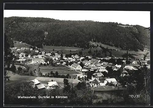 AK Weitensfeld im Gurktal, Teilansicht