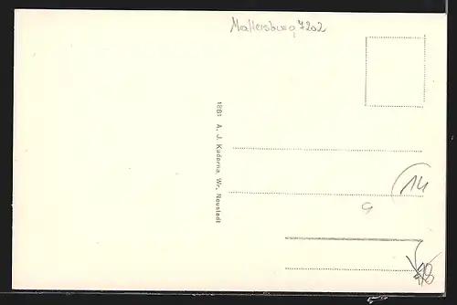 AK Bad Sauerbrunn, Ortsansicht aus der Vogelschau