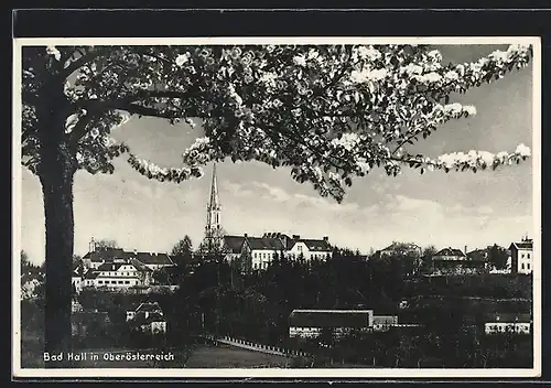 AK Bad Hall, Ortsansicht im Frühling