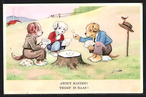 AK Atout maitre!, Hunde beim Kartenspielen