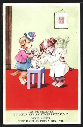 AK Hundewelpe geht zum Arzt