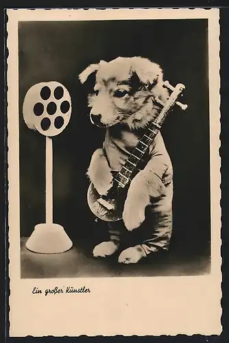 AK Kleiner Hund spielt Banjo, Ein grosser Künstler