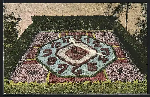 AK Zittau, Blick auf die Blumenuhr