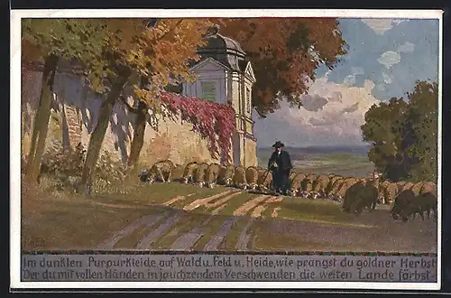 Künstler-AK P. Hey: Herbst, Schäfer mit seiner Herde auf der Wiese