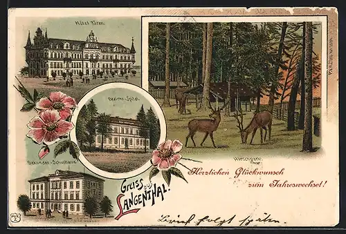Lithographie Langenthal, Hotel Bären, Bezirks-Spital, Hirschgarten