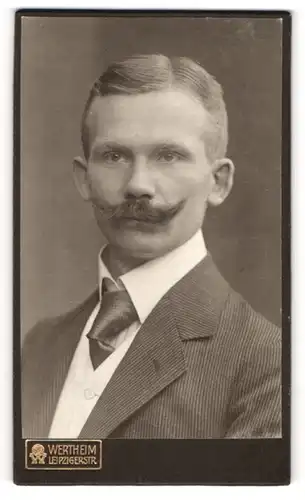 Fotografie Wertheim, Berlin, Leipzigerstr., Portrait Herr Karl Ficka im Anzug mit Mustasch