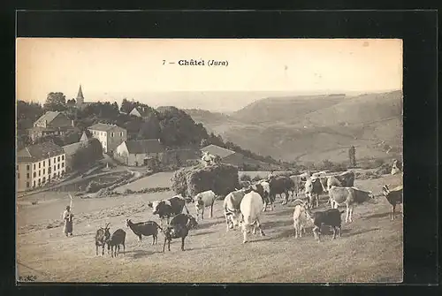 AK Chatel, Kuhweide mit Arbeitern